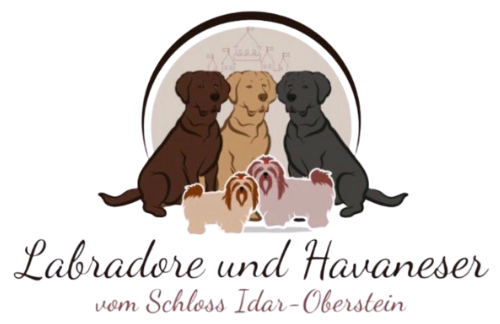 Labradore und Havaneser vom Schloss